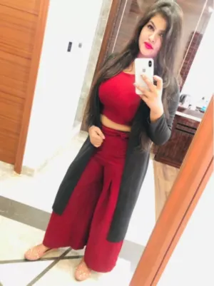 Hi Profile Escorts Service Vipnswf20